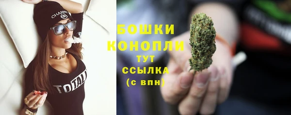 гидра Баксан