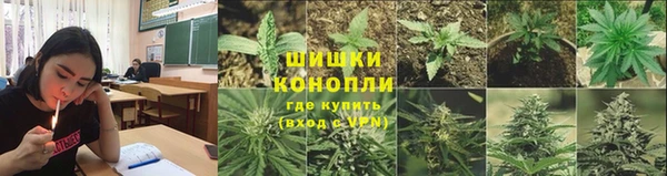 амф Балахна