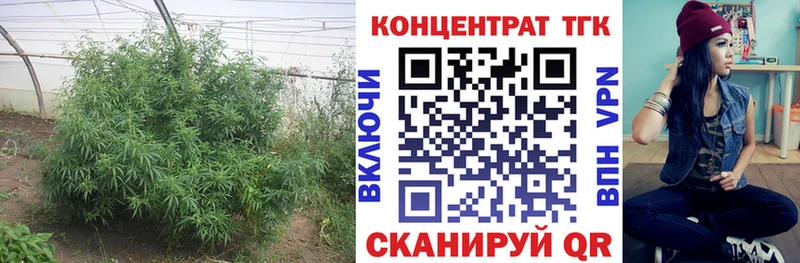 Купить закладки  Меленки  ТГК Wax 