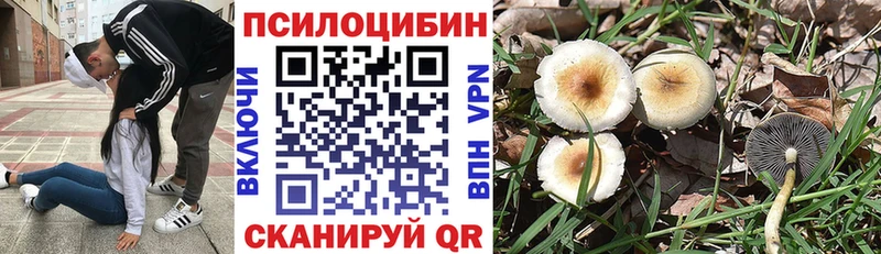 Купить где  Меленки  Галлюциногенные грибы мухоморы 