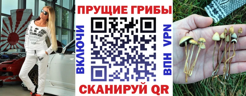 Галлюциногенные грибы GOLDEN TEACHER Меленки